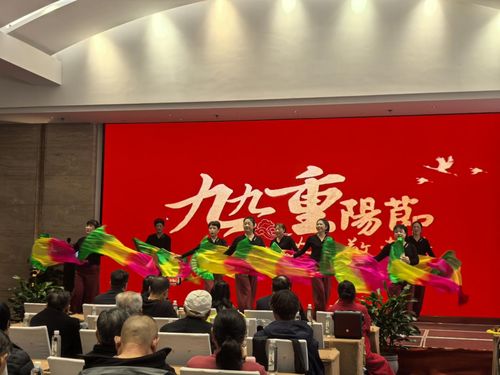 九華山祇民社區(qū)文藝匯演慶佳節(jié) 敬老溫情暖人心，文化藝術(shù)交流活動策劃